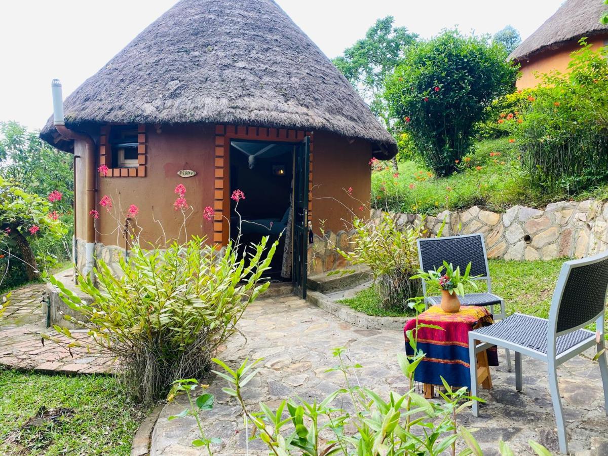 Nyore Hillside Retreat Mbarara Exteriör bild