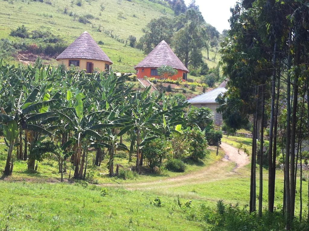 Nyore Hillside Retreat Mbarara Exteriör bild