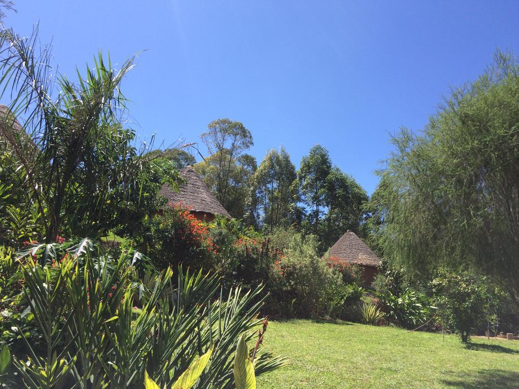 Nyore Hillside Retreat Mbarara Exteriör bild