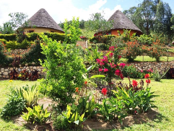 Nyore Hillside Retreat Mbarara Exteriör bild