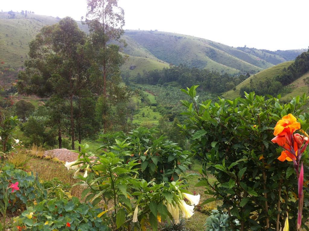 Nyore Hillside Retreat Mbarara Exteriör bild