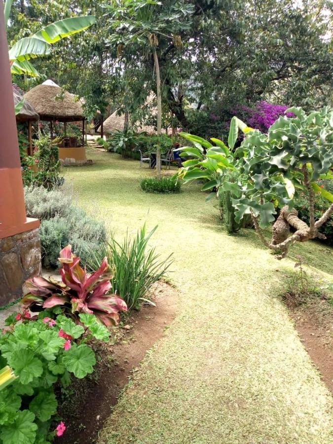 Nyore Hillside Retreat Mbarara Exteriör bild