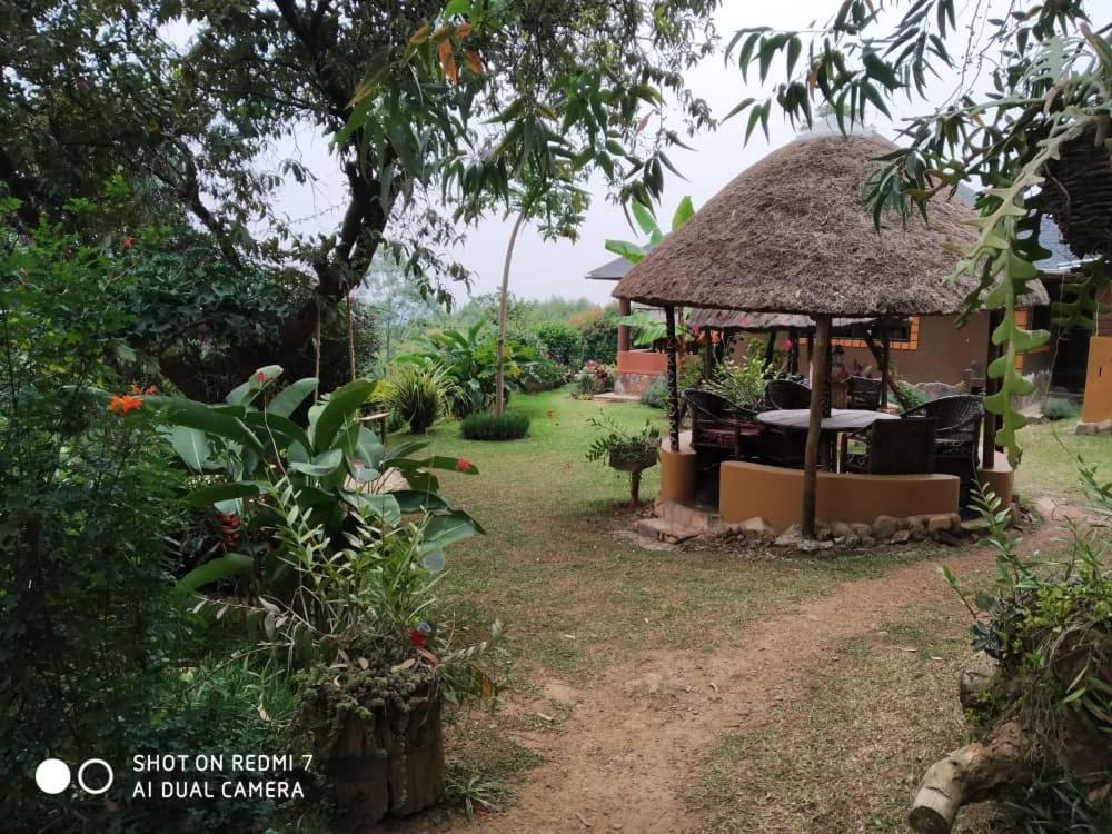 Nyore Hillside Retreat Mbarara Exteriör bild